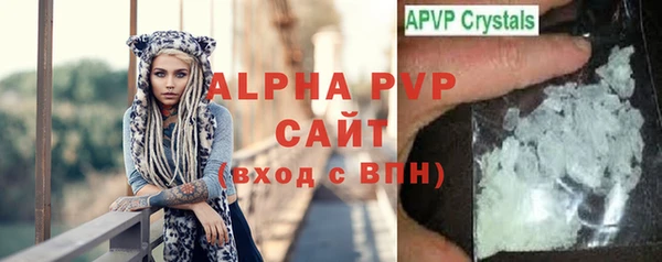 ГАЛЛЮЦИНОГЕННЫЕ ГРИБЫ Иннополис
