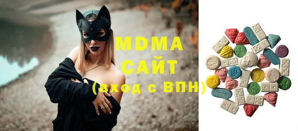 apvp Инсар