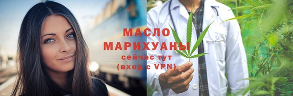 apvp Инсар