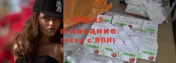 apvp Инсар