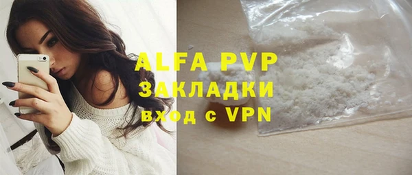 apvp Инсар