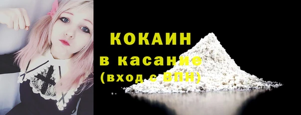 метадон Инта