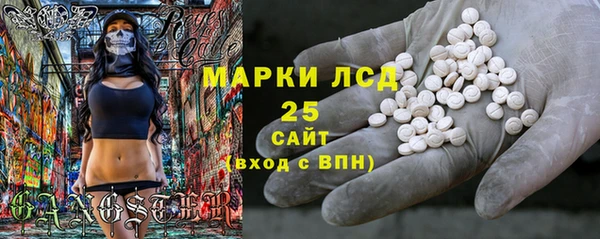 ГАЛЛЮЦИНОГЕННЫЕ ГРИБЫ Иннополис