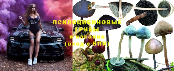 метадон Инта