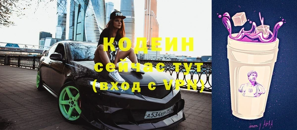 метадон Инта