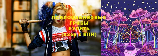 apvp Инсар