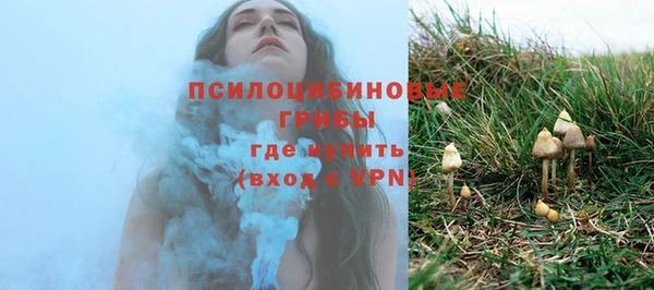ГАЛЛЮЦИНОГЕННЫЕ ГРИБЫ Иннополис