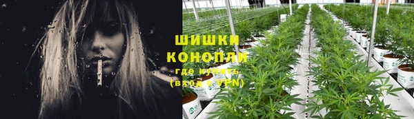 метадон Инта