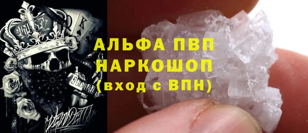 apvp Инсар