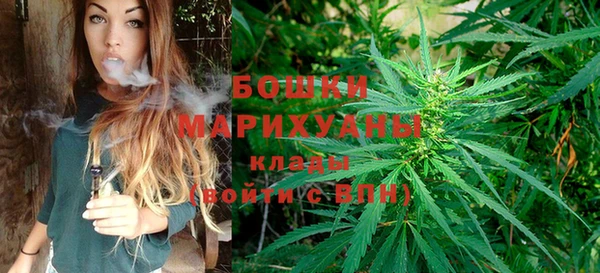 apvp Инсар